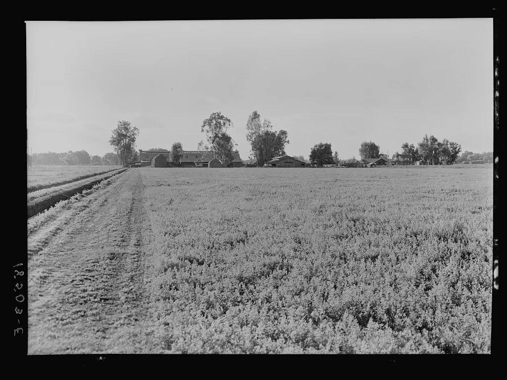 Barns of the old Mineral King Ranch seen across alfalfa field. New…, California, 1938