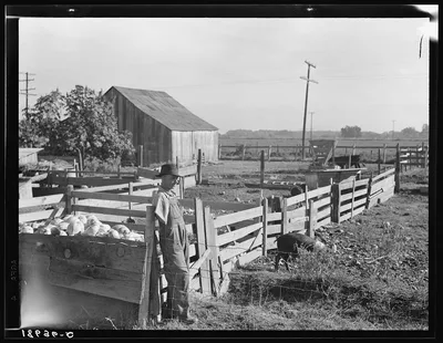 [Untitled photo, possibly related to: Farm Security Administration…, California, 1938