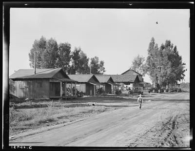 Early stage in the history of the farm experiment on the old Mineral…, California, 1938