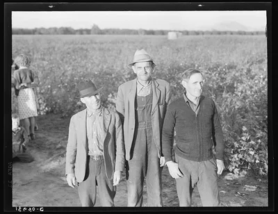 Ten families have been established by the Farm Security…, California, 1938