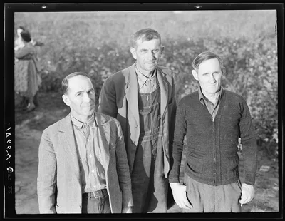 These three men comprise the board of directors of the Mineral King…, California, 1938