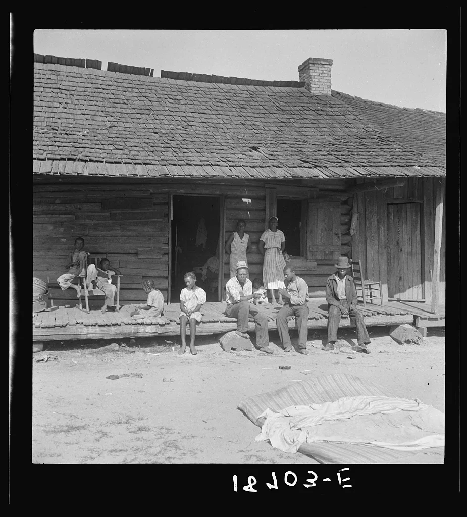 Near Tifton, Georgia. Tobacco farms, like Southern cotton farms,…, 1938