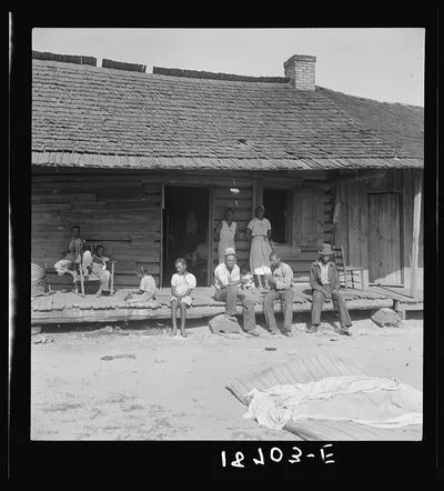 Near Tifton, Georgia. Tobacco farms, like Southern cotton farms,…, 1938