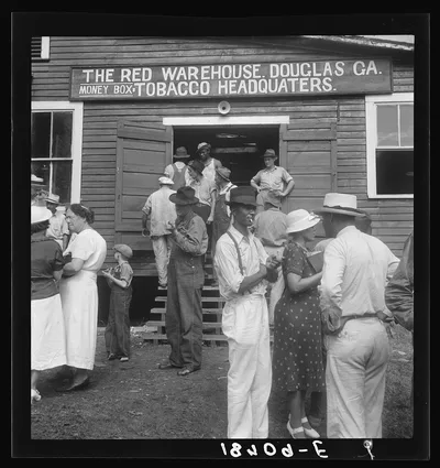 As the auctioneer knocks down the last bid on each basket of tobacco…, Georgia, 1938