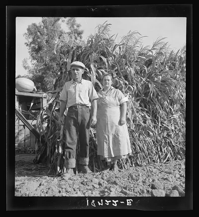 Near Visalia, California. Rehabilitation family. Farm operations…, 1938