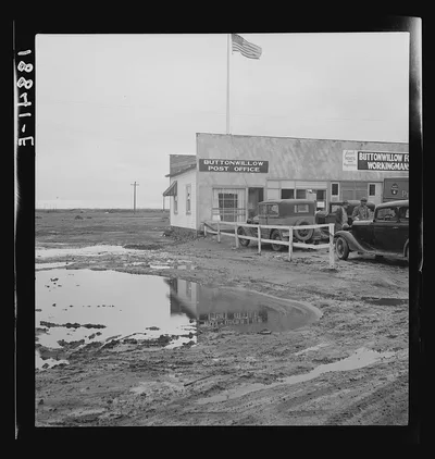 Buttonwillow, California. New large-scale cotton farming district, 1939