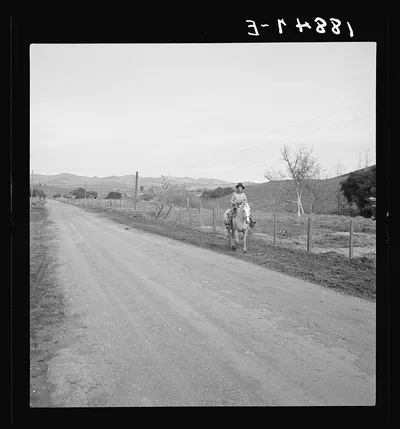 San Luis Obispo County, California. Cowboy coming in from the hills, 1939