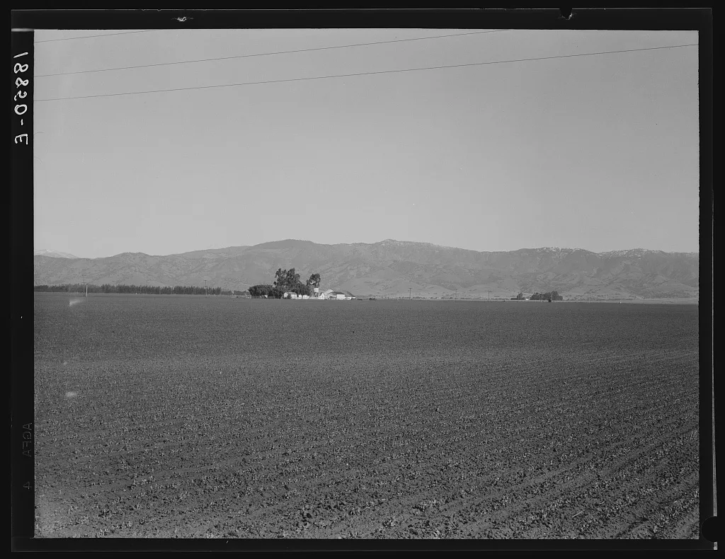 Near King City, California. Large-scale agriculture (peas) and old…, 1939