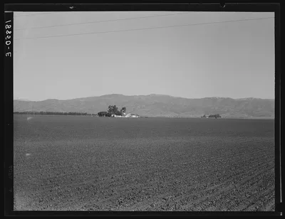Near King City, California. Large-scale agriculture (peas) and old…, 1939
