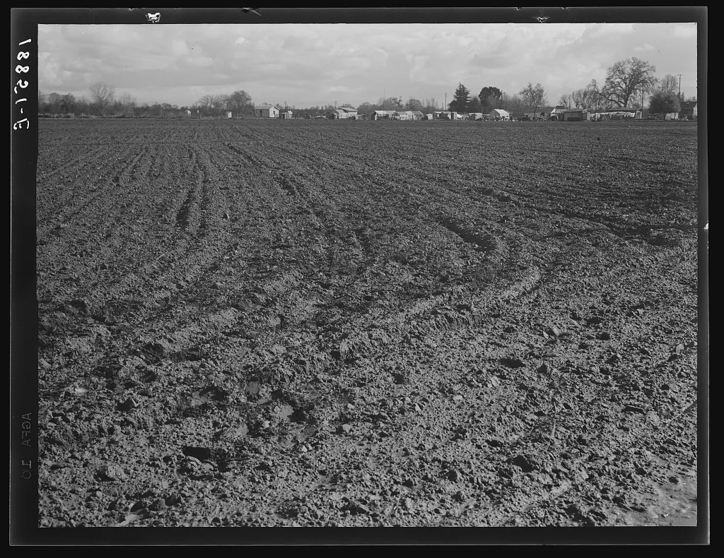 Farmersville, Tulare County. Migrants' winter quarters, California, 1939