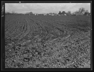 Farmersville, Tulare County. Migrants' winter quarters, California, 1939