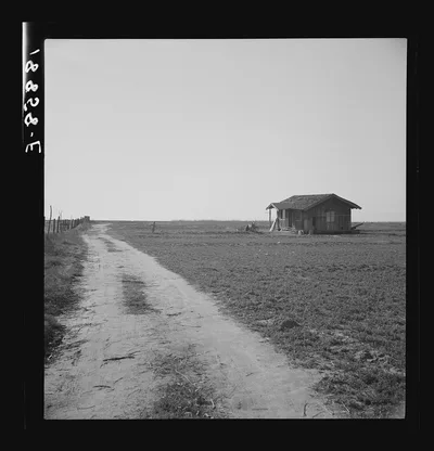 [Untitled photo, possibly related to: On the plains west of Fresno,…, California, 1939