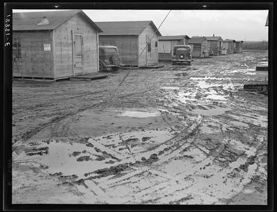 Bottonwillow, California. "Company" cotton pickers' camp after…, 1939