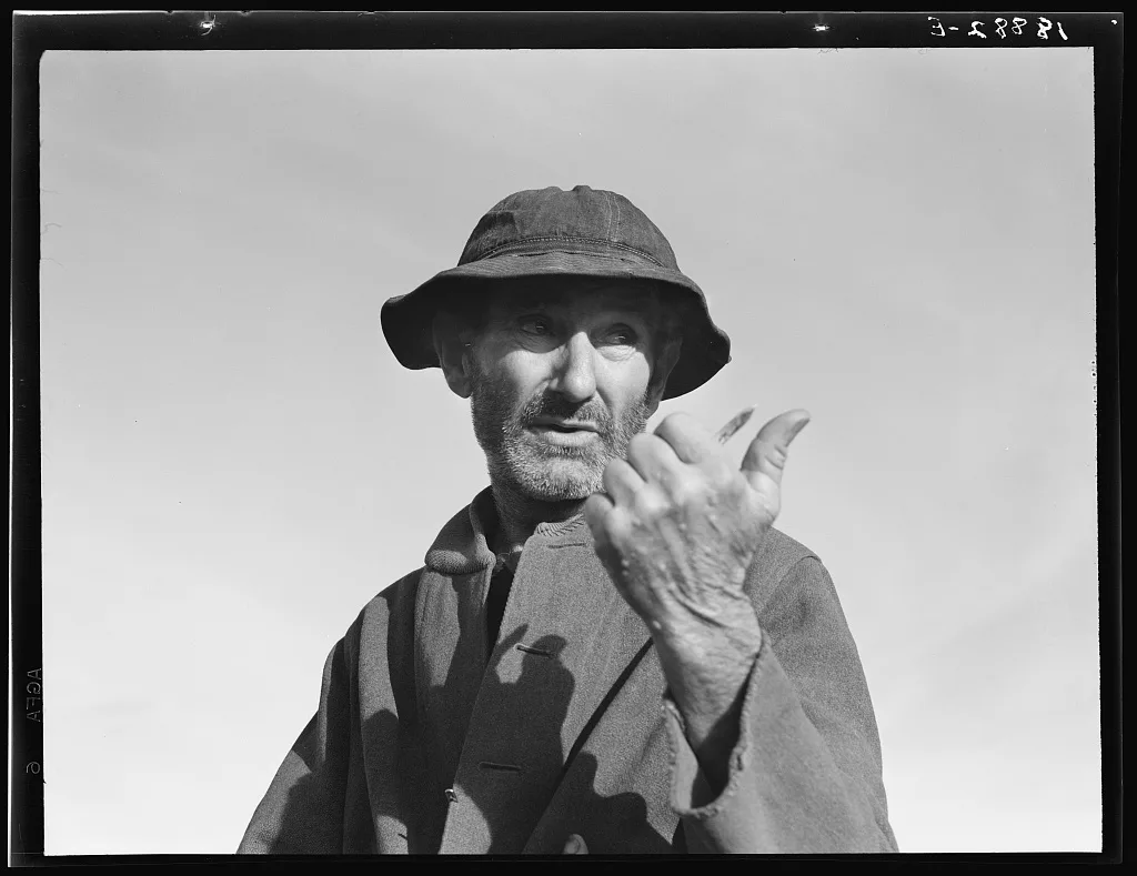 Cotton picker near Firebaugh, California, 1939