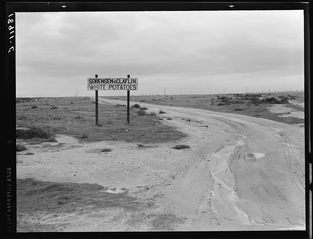 Kern County, California. Beside U.S. 99. Large-scale agriculture, 1939