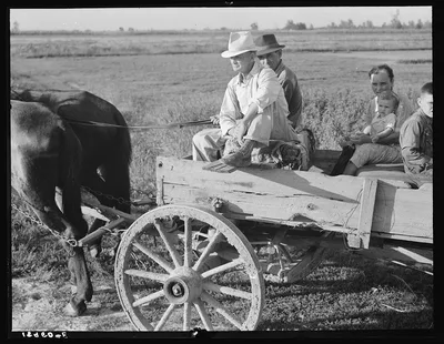 Photograph from Missouri: Horse and wagon is still a common means of…