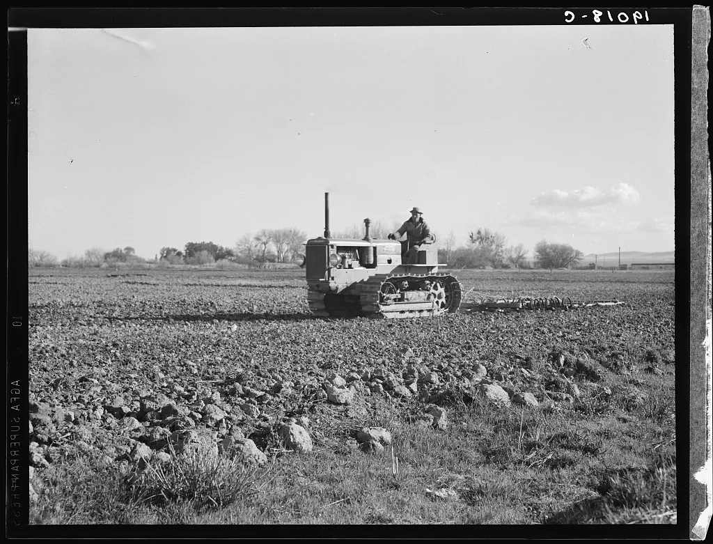 Cultivating potato field. California, 1939