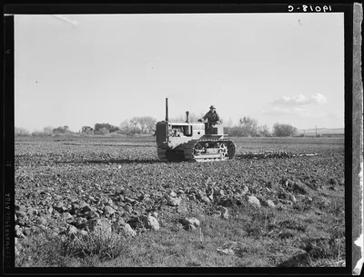 Cultivating potato field. California, 1939