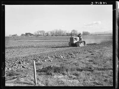 West side of San Joaquin Valley, California. Caterpillar diesel type.…, 1939