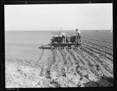 Large-scale, mechanized farming. The potato planter, operated by a…, California, 1939