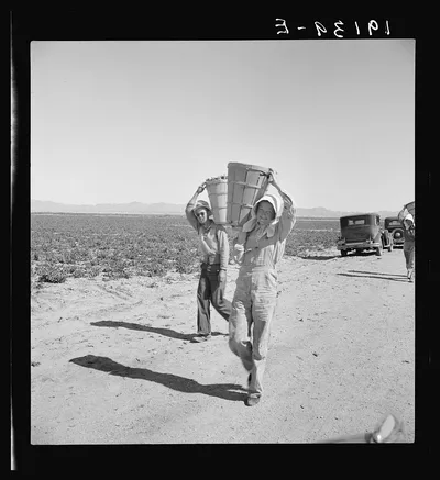 Pea pickers coming in to the weigh master. Near Calipatria,…, California, 1939