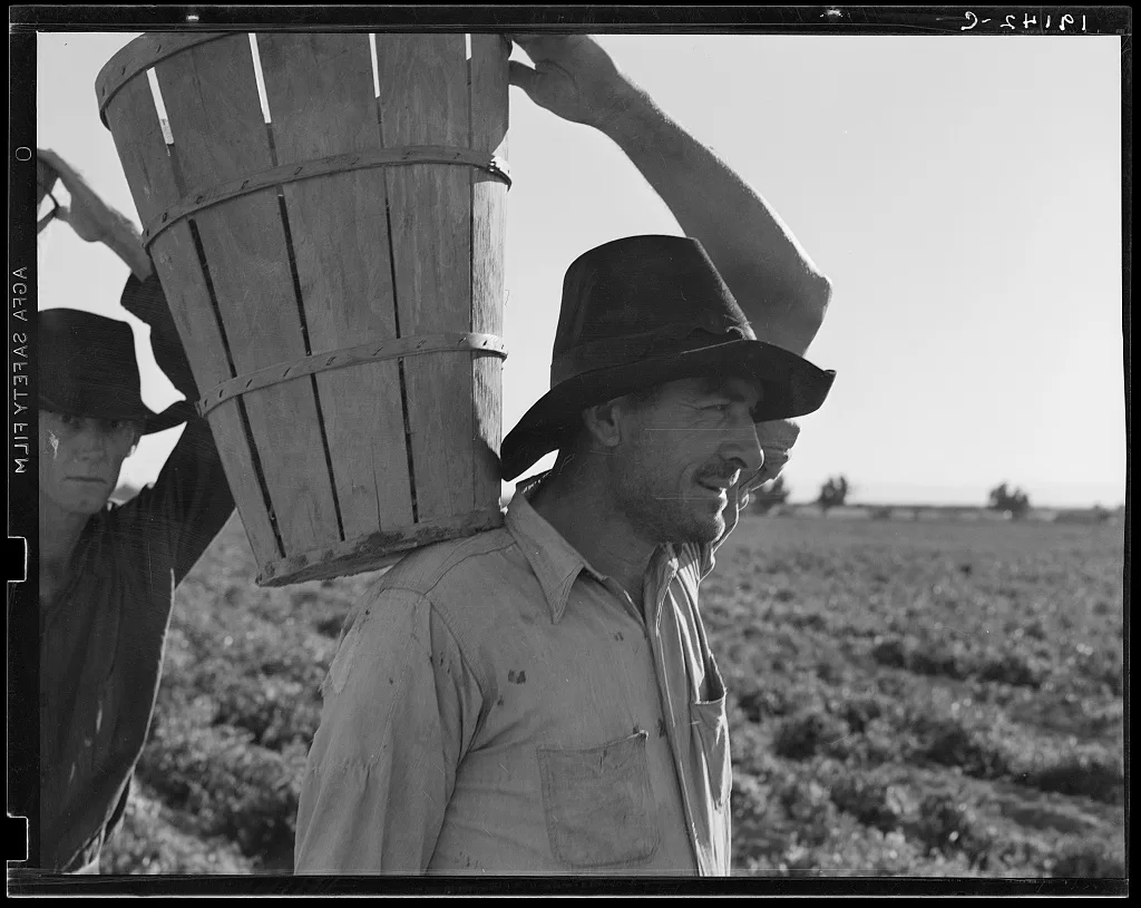 Pickers coming into the weigh master. Pea field near Calipatria,…, California, 1939