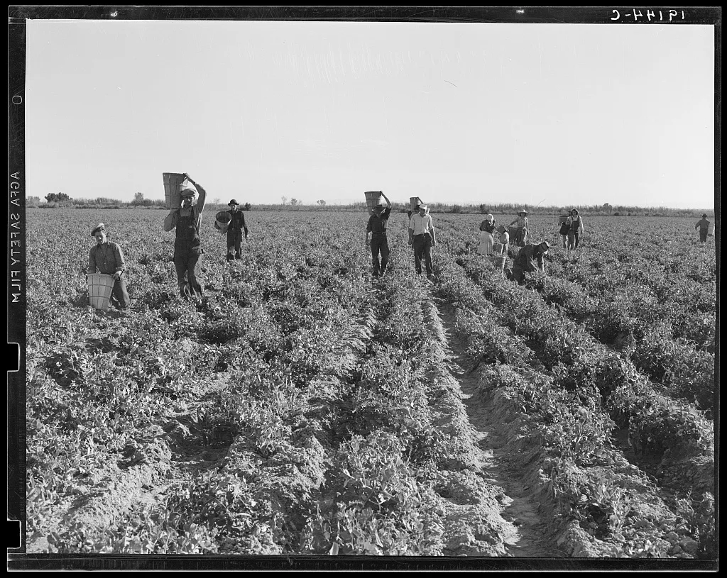 [Untitled photo, possibly related to: End of the day. Near…, California, 1939