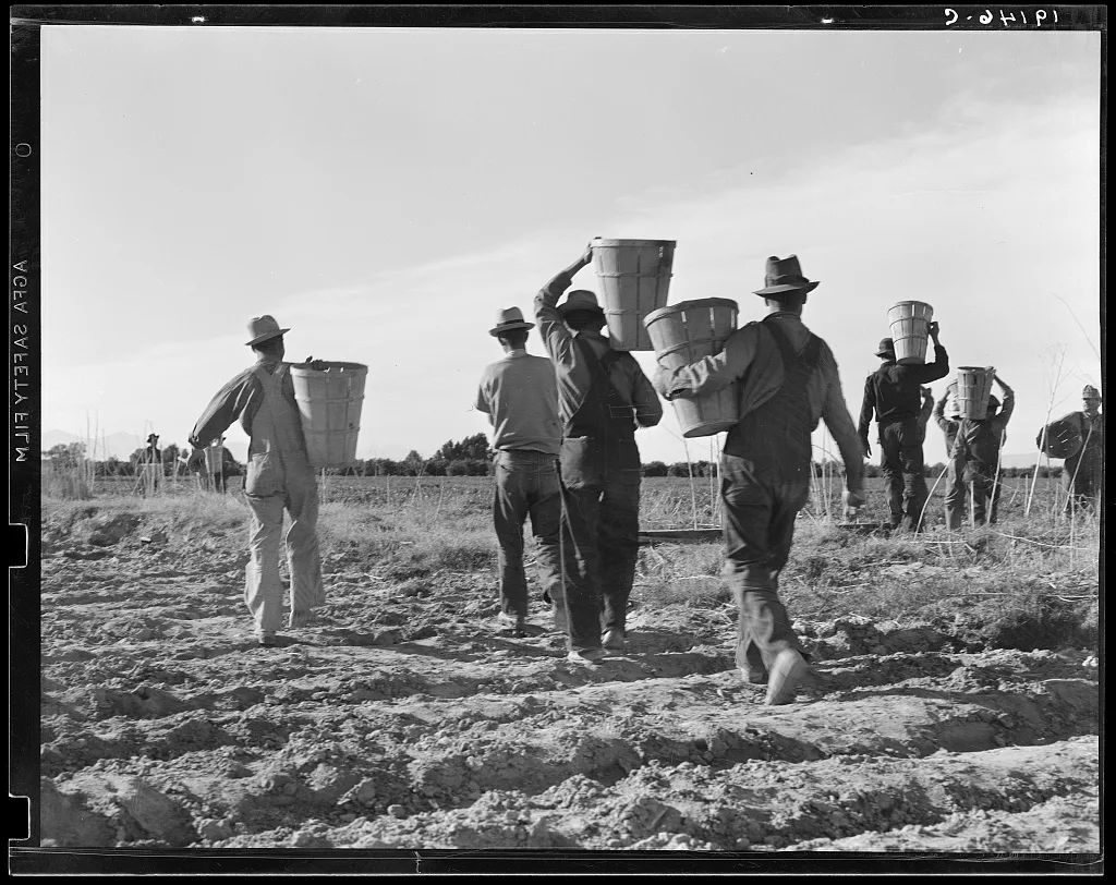 Pea pickers. End of the day. Near Calipatria. California, 1939