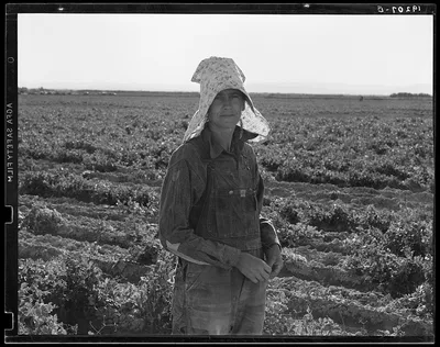 Near Calipatria. Pea picker at the end of the day, California, 1939