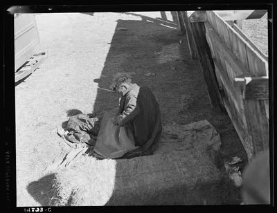 Hobo wakes up early in the morning from his bed alongside a corral.…, California, 1939
