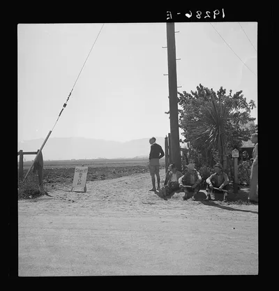 Salinas Valley, California. Deputized "vigilantes" armed with clubs…, 1939
