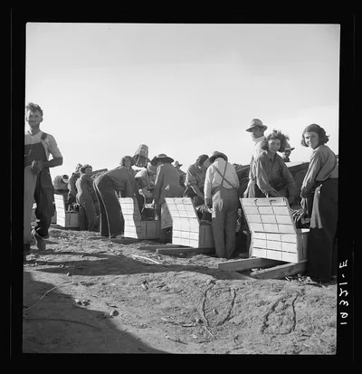 Large-scale industrialized agriculture. Calipatria, Imperial Valley,…, California, 1939