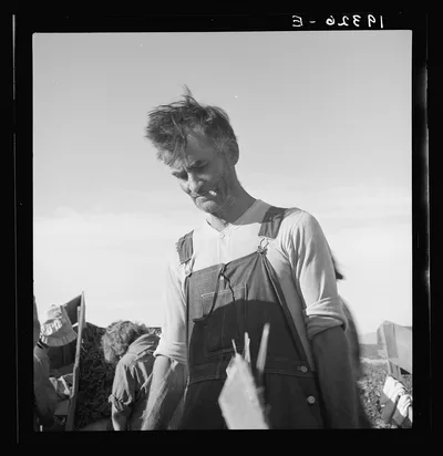 Straw boss of pea packers in the field near Calipatria, Imperial…, California, 1939