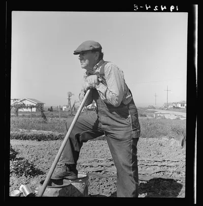 Farmer who has small plot in rapidly growing settlement of lettuce…, California, 1939