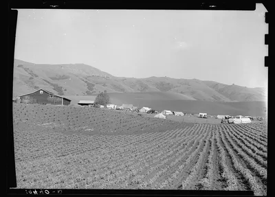 Ranch camp for pea pickers. Near Milpitas, Santa Clara County,…, California, 1939