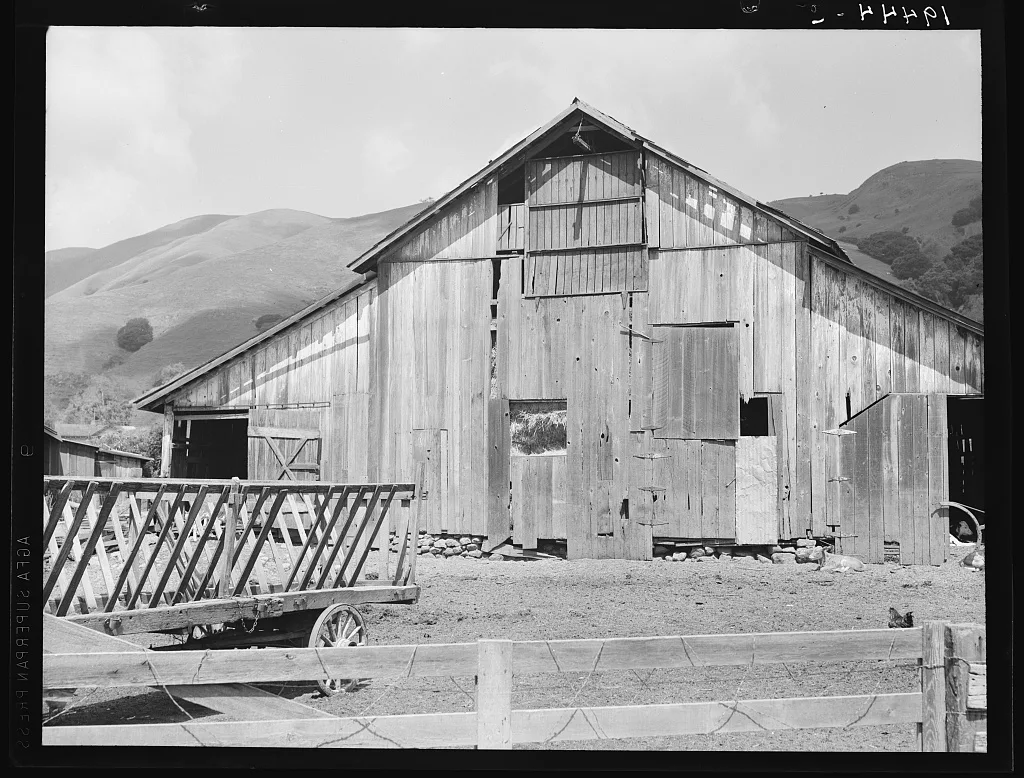Farmyard of small Italian farmer. Santa Clara County, California, 1939