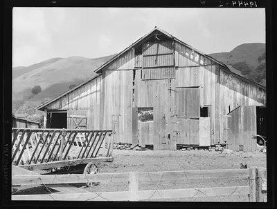 Farmyard of small Italian farmer. Santa Clara County, California, 1939