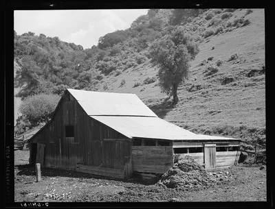 Barn in a valley back of Mission San Jose. Santa Clara County,…, California, 1939