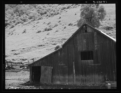 Barn in a valley back of Mission San Jose. Santa Clara County,…, California, 1939
