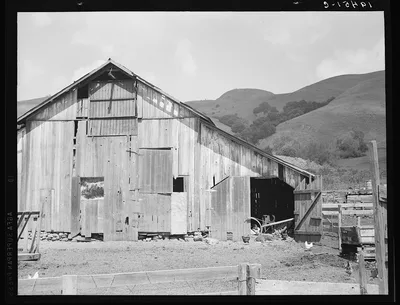 Farmyard of small Italian farmer. Santa Clara County, California, 1939