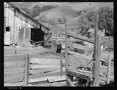 Farmyard of small Italian farmer. Santa Clara County, California, 1939