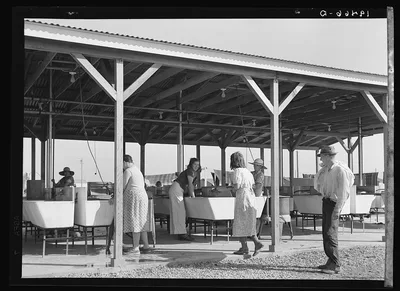 Laundry facilities for migratory workers in Farm Security…, California, 1939