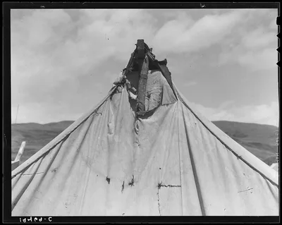 [Untitled photo, possibly related to: Pea picker's tent near San…, California, 1939