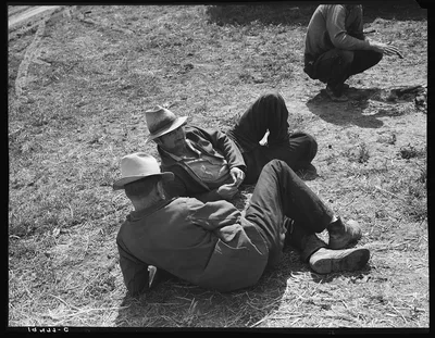 Idle migrants. Foothills north of San Jose, California. "If the sun…, 1939