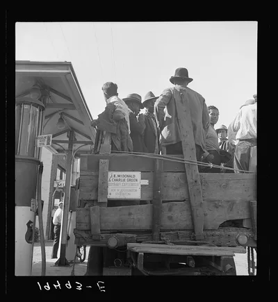 Gangs of single men, pea pickers, transported to fields by…, California, 1939