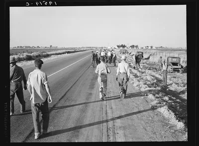 Near Los Banos, California. Migratory agricultural workers. Cotton…, 1939