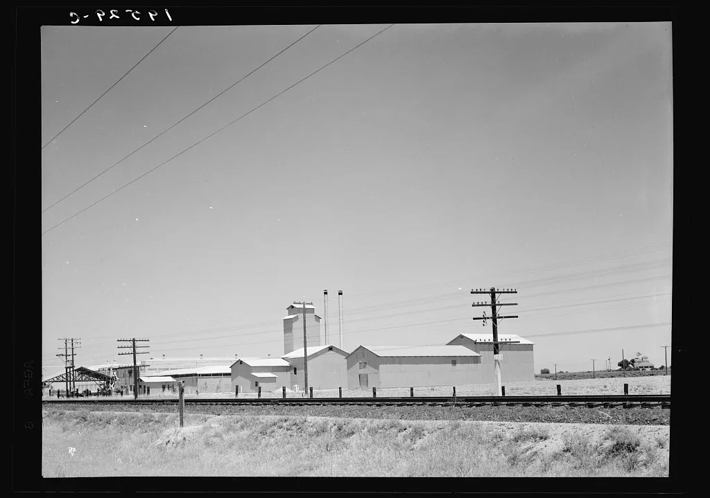 [Untitled photo, possibly related to: Between Tulare and Fresno,…, California, 1939