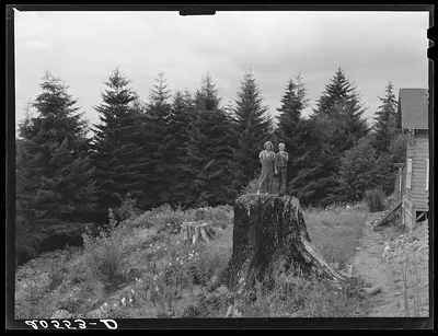 [Untitled photo, possibly related to: Shows charater of the land in…, Washington, 1939