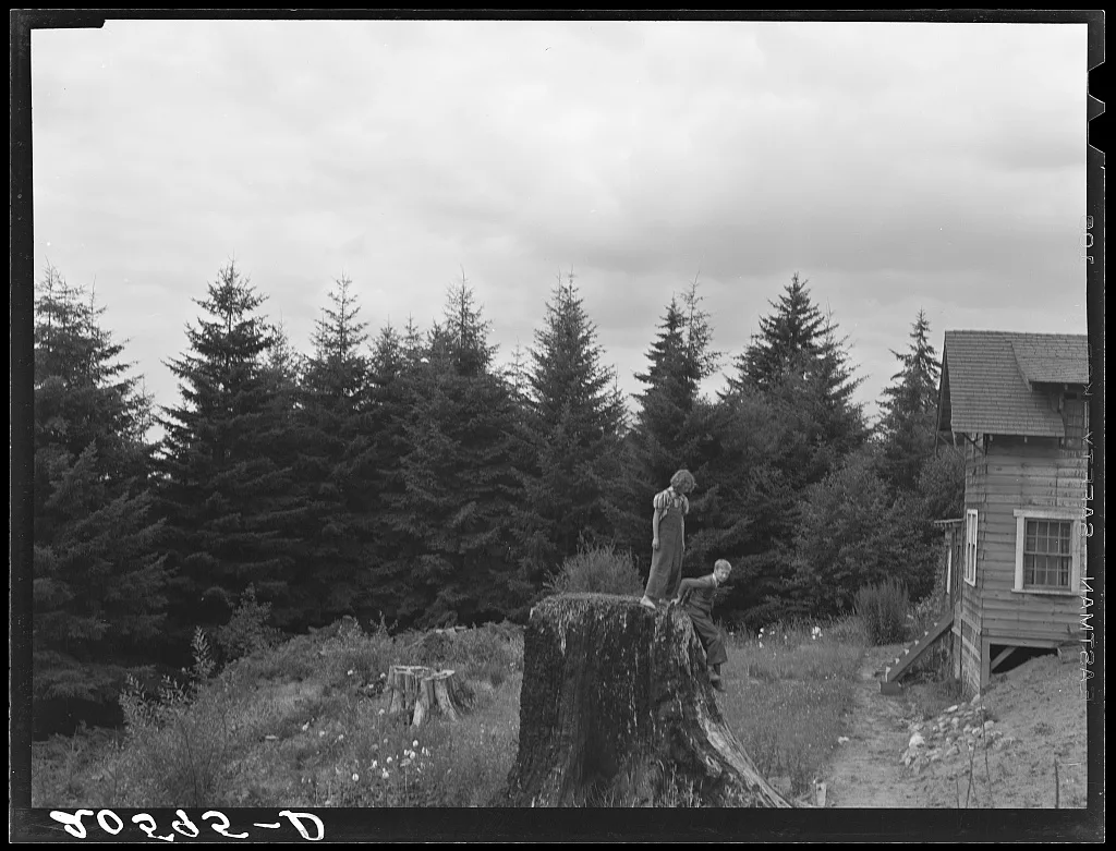 [Untitled photo, possibly related to: Shows charater of the land in…, Washington, 1939