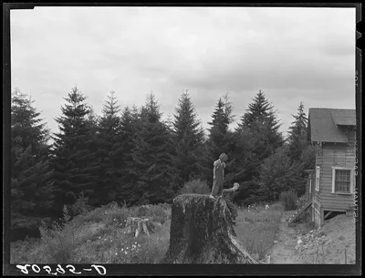 [Untitled photo, possibly related to: Shows charater of the land in…, Washington, 1939